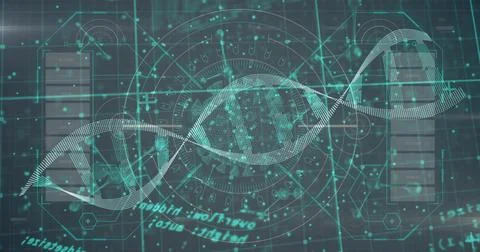 Displaying dotted DNA double helix over digital interface, with circular HUD and Illustrazione stock