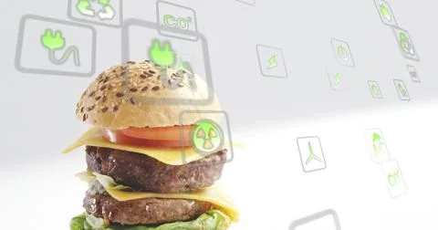 Displaying double burger with seeded bun, beef patties on studio set with eco Stock Photos