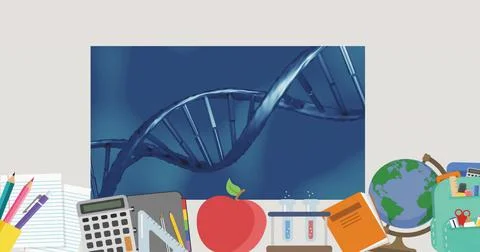Displaying double-helix DNA graphic at classroom desk, with colored pencils, Stock Illustration