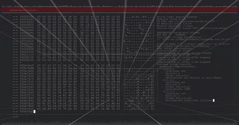 Displaying dual-pane console showing hex dump and network scan output on Stock Photos