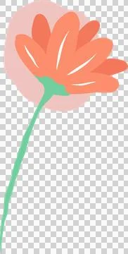 Displaying flat design flower orange petals green stem before pink circle on Stockillustratie