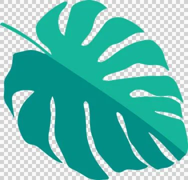 Displaying flat design Monstera leaf split in two green tones against Illustrazione stock