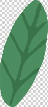 Displaying flat green leaf featuring darker central vein, branching veins, Stock Illustration