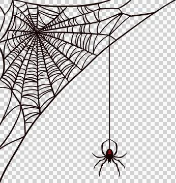 Displaying flat spider web upper-left, red-marked spider hanging by silk thread 库存插图