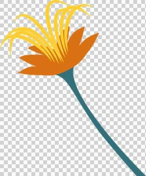 Displaying flat vector flower, orange petals, yellow stamens, teal stem, clear Stock Illustration