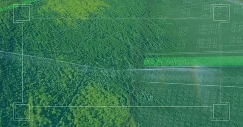 Displaying forest canopy hovering above terrain with markers diagonal line data Foto stock