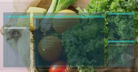 Displaying fresh produce resting on rustic kitchen counter, with kale, tomato, Stock Photos