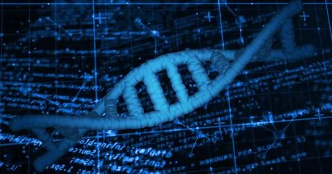 Displaying glowing 3D DNA double helix spinning within dark blue virtual grid, 스톡 사진
