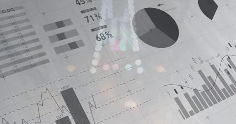 Displaying grayscale financial dashboard at office, with pie chart, bar charts, Illustrazione stock