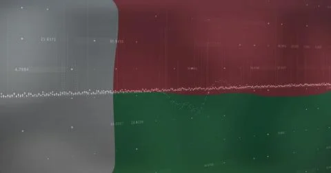 Displaying grey data panel on screen, with white dotted trend line and red green 스톡 일러스트