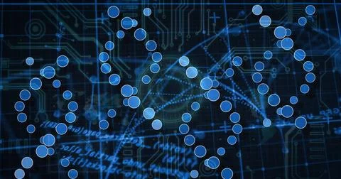 Displaying helical translucent blue circle strands overlaying circuit board, Illustrazione stock