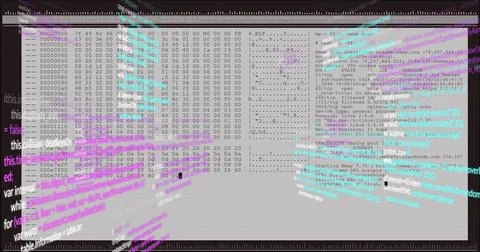 Displaying hex editor and Nmap windows at computer desktop, showing port scan Stock Photos