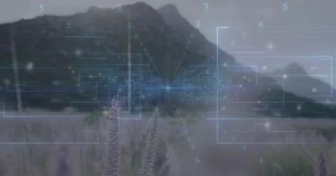 Displaying holographic network hovering above tall grass in field, with numeric Stock Illustration