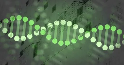 Displaying horizontal DNA helix graphic stretching across blueprint, with green 库存插图