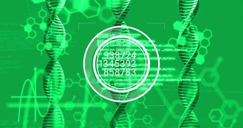 Displaying HUD or reticle with numeric readouts overlaying virtual lab Stock Photos