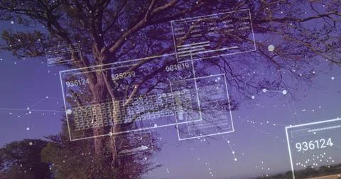 Displaying large deciduous tree projecting UI panels across dusk park horizon, Stock Photos