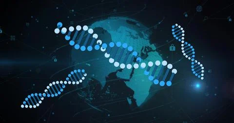 Displaying large DNA helix of nodes stretching across center over dotted globe Stock Photos