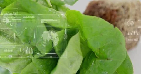 Displaying large green lettuce leaf showing droplets on white plate, HUD Stock Photos