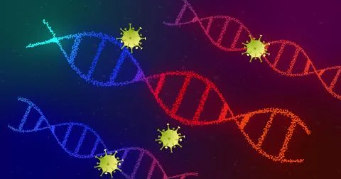 Displaying large red DNA double helix spinning on dark gradient background, with Stock Illustration