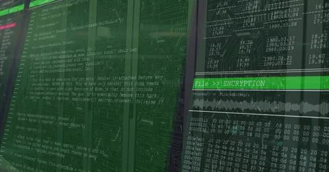 Displaying monitors showing code editor and encryption UI panel at data center, Stock Illustration