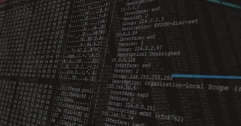Displaying monospaced terminal text in closeup on dimly lit monitor, with hex Illustrazione stock