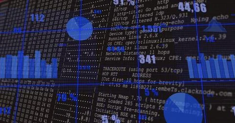 Displaying network scan interface on screen, showing bar and pie charts, console Stock Illustration
