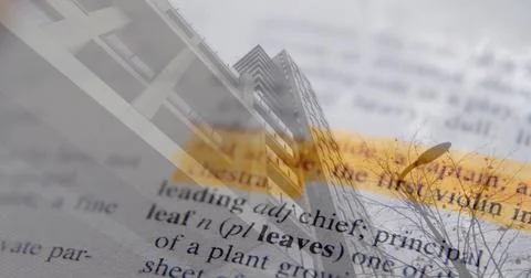 Displaying open dictionary page showing leaf entry with yellow highlight and Ilustración de archivo