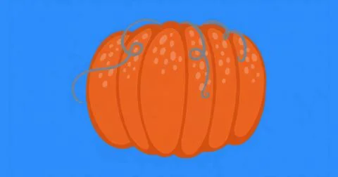 Displaying orange pumpkin showing ridges on bright blue canvas, with curly grey Illustrazione stock