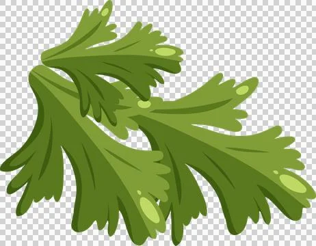 Displaying overlapping vector herb leaves with lobed edges and highlights, Stock Illustration