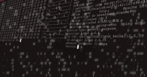 Displaying overlay of binary code and network scan text on terminal display, Stock Illustration