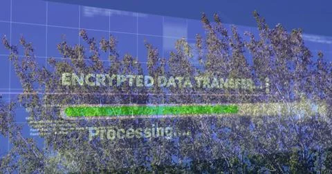 Displaying overlay showing ENCRYPTED DATA TRANSFER text and green bar over park Stock Photos