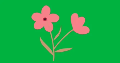 Displaying pastel pink vector flowers on transparent background for marketing Stock Footage 317480061
