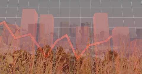 Displaying red bar chart and jagged line graph over dry grass and city skyline, Stock Photos