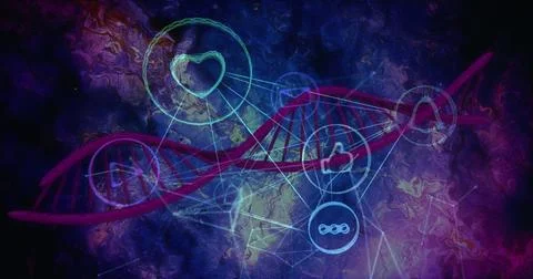 Displaying red double-helix DNA strand spinning in data interface, with Stock Illustration