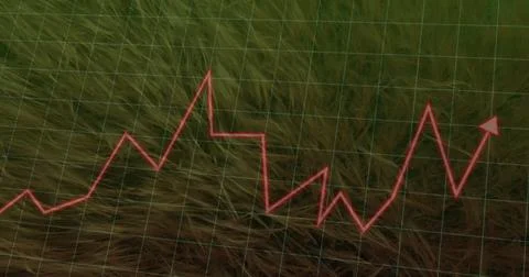 Displaying red zigzag line graph with arrow fluctuating on tall dry grass with Stock Illustration