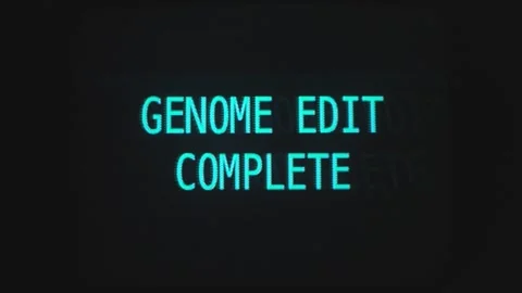Displaying of script of system language against a black background in computer Stock Footage 312099521