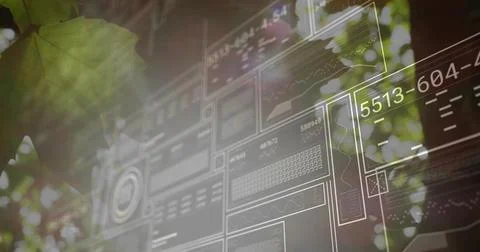 Displaying semi-transparent wireframe interface hovering over canopy, leaf left, Foto stock