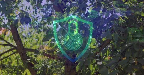 Displaying shield and padlock with circular maze over tree canopy, floating Stock Photos