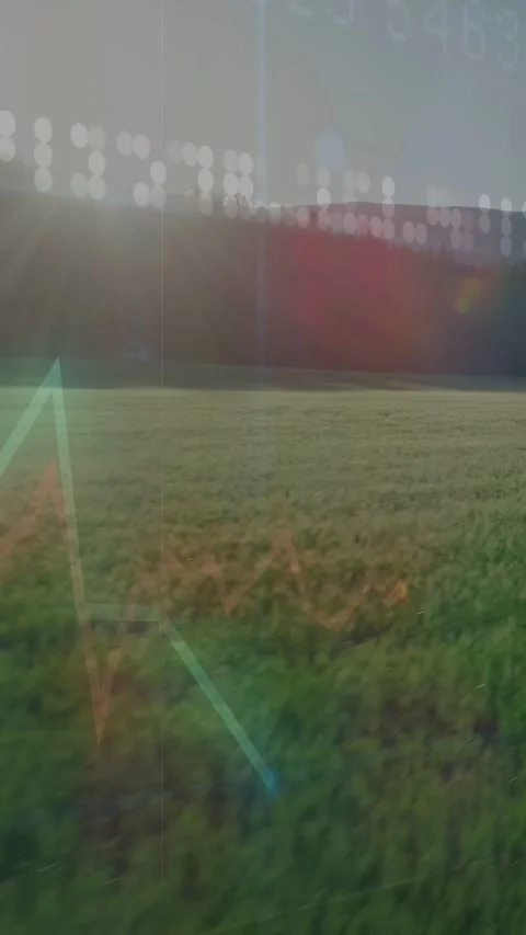 Displaying stacked bar chart over grassy meadow with sun glare, showing teal red Stock Footage 332846178
