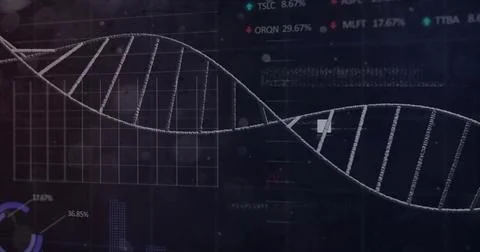 Displaying stylized DNA double helix curving across dashboard, with charts an Stock Illustration
