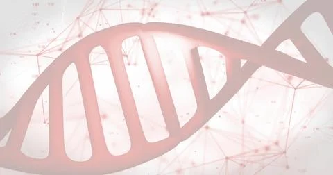Displaying stylized DNA double helix glowing and twisting on digital background, Stock Illustration