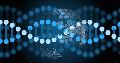 Displaying stylized DNA double helix crossing dark navy gradient, showing Stock Illustration