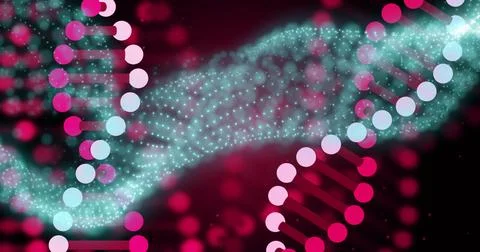 Displaying stylized DNA helix centering in lab visualization, with magenta nodes Foto stock