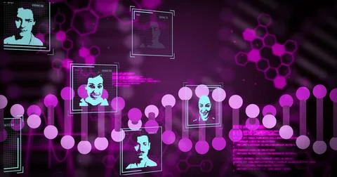 Displaying stylized DNA helix composed of magenta dots on virtual interface, Stock Illustration