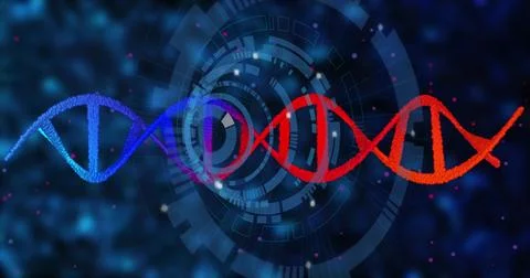 Displaying stylized DNA helix shifting from blue to orange dots in virtual HUD Ilustración de archivo