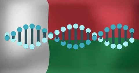 Displaying stylized DNA helix waveforms on abstract canvas, with turquoise nodes Stock Photos