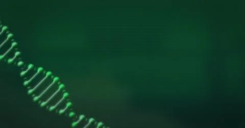 Displaying stylized green double helix curving on lab monitor panel, with dotted 库存插图