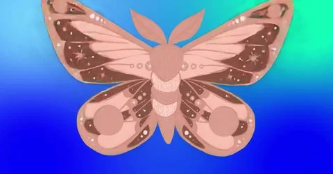 Displaying stylized moth featuring wing patterns, banded body, leaf antennae on 스톡 일러스트