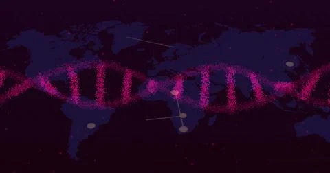 Displaying stylized pink-dotted DNA helix stretching across purple world map Illustrazione stock