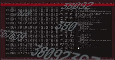 Displaying terminal with red border in office, showing hex dump, network scan Illustrazione stock
